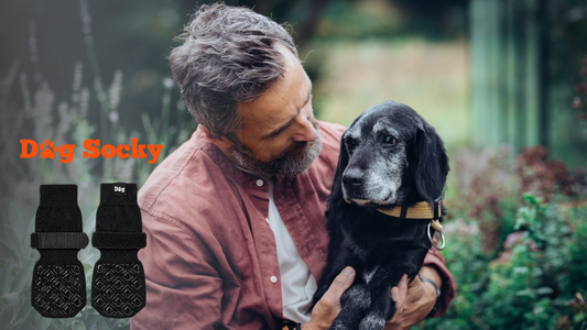 Baasje knuffelt zijn oudere hond buiten, het verhaal van Luca die weer zelf de trap op kon