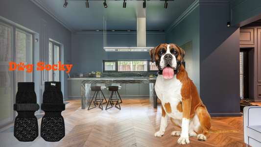 Boxer staand in moderne keuken met Dog Socky antislip hondensokken