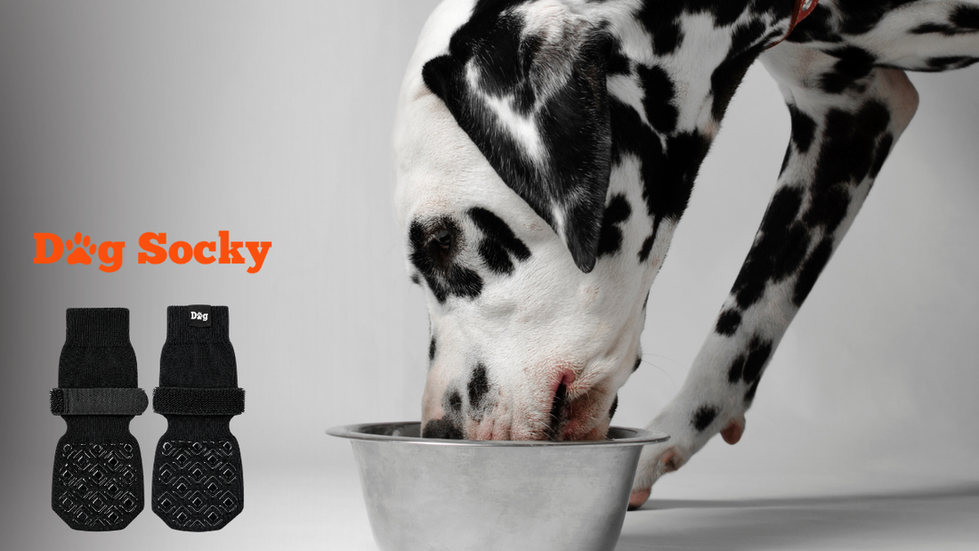 Dog Socks Price: The Cost Per Month