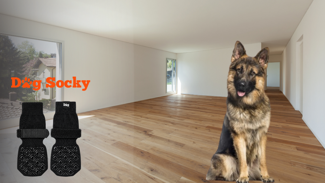 Duitse Herder in moderne ruimte met Dog Socky antislip hondensokken maat XL