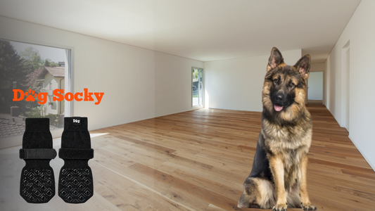 Duitse Herder in moderne ruimte met Dog Socky antislip hondensokken maat XL