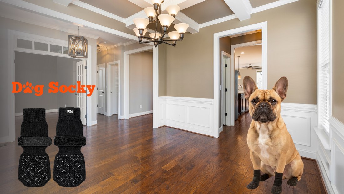 Franse Bulldog in elegant interieur, antislip spray en pootwax voor honden vergeleken