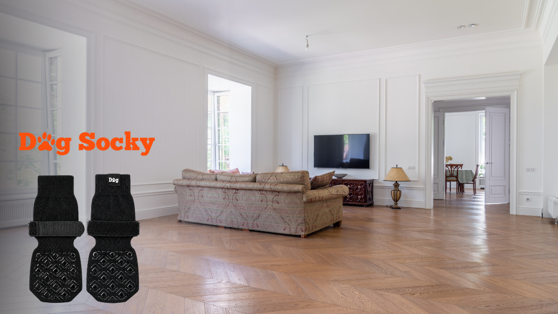 Elegant visgraat parket, hond krast het parket en vloerbescherming met Dog Socky