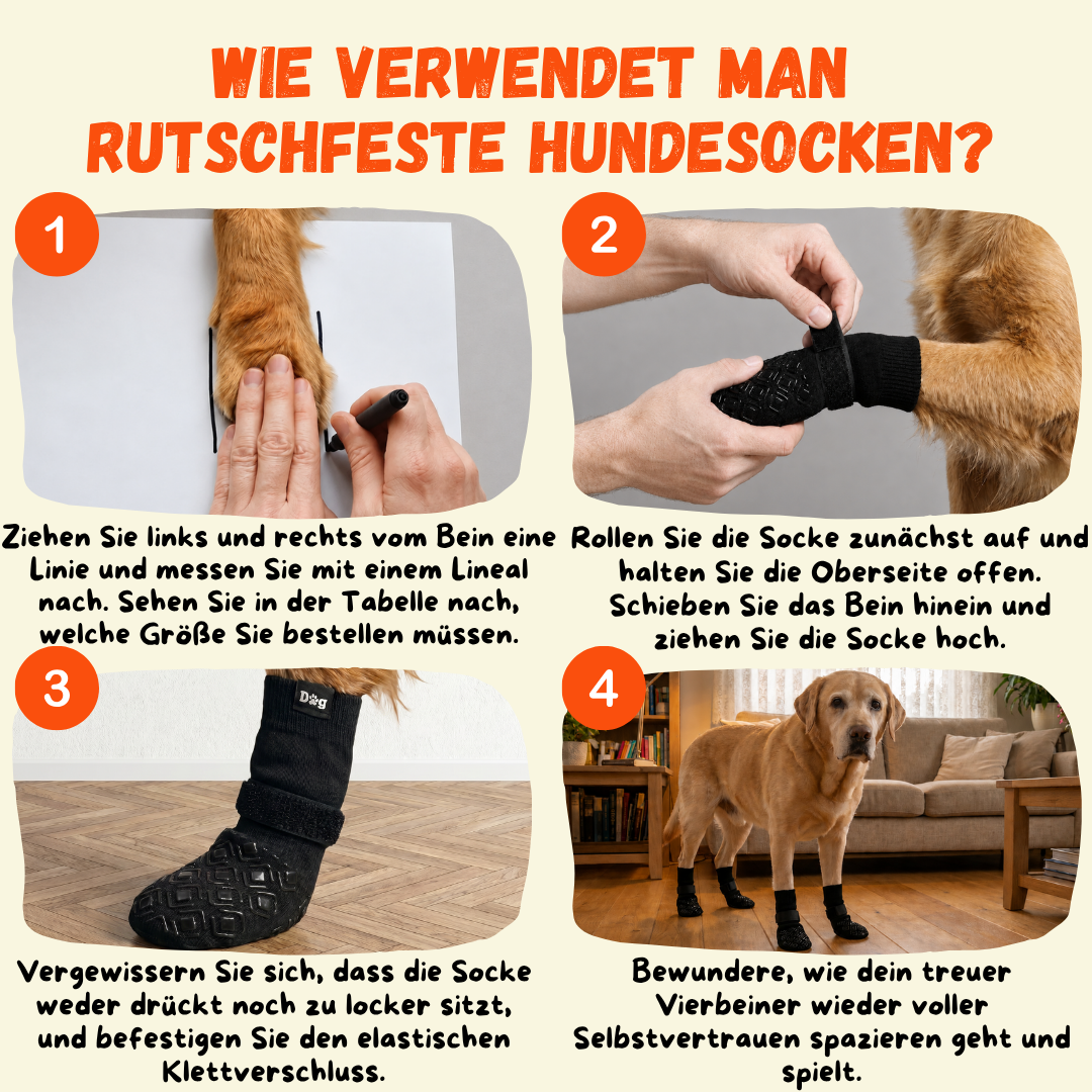 Anleitung: Rutschfeste Hundesocken anziehen in 4 Schritten — Pfotenbreite messen und Klettverschluss fixieren