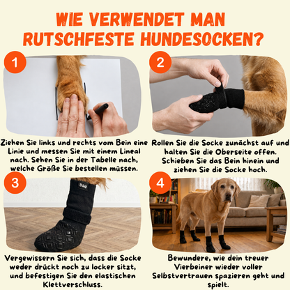 Anleitung: Rutschfeste Hundesocken anziehen in 4 Schritten — Pfotenbreite messen und Klettverschluss fixieren