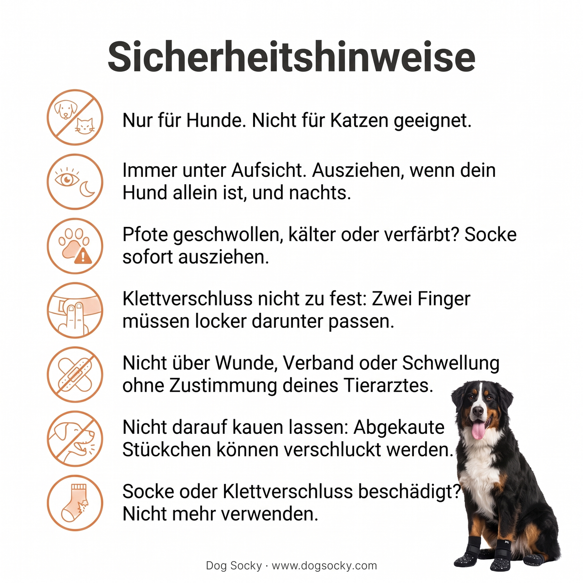 Sicherheitshinweise für Dog Socky Anti-Rutsch-Hundesocken: so verwendest du die Socken sicher