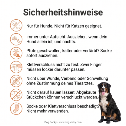 Sicherheitshinweise für Dog Socky Anti-Rutsch-Hundesocken: so verwendest du die Socken sicher