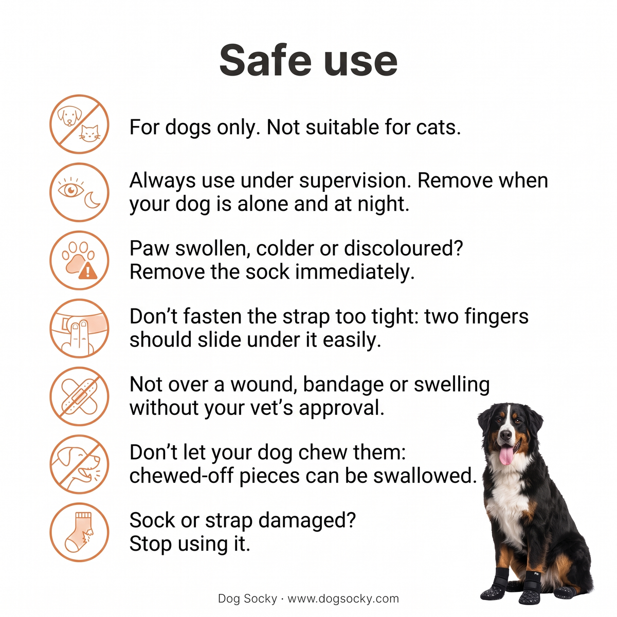 Safe use of Dog Socky anti-slip dog socks: safety instructions for your dog