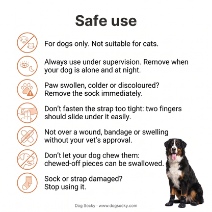 Safe use of Dog Socky anti-slip dog socks: safety instructions for your dog