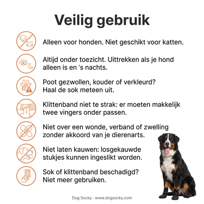 Veilig gebruik van Dog Socky antislip hondensokken: veiligheidsinstructies voor je hond