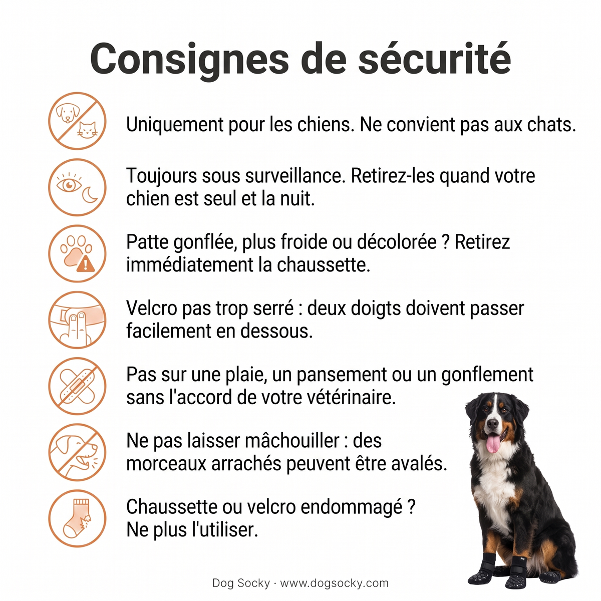 Consignes de sécurité pour les chaussettes antidérapantes pour chien Dog Socky