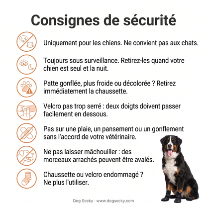 Consignes de sécurité pour les chaussettes antidérapantes pour chien Dog Socky