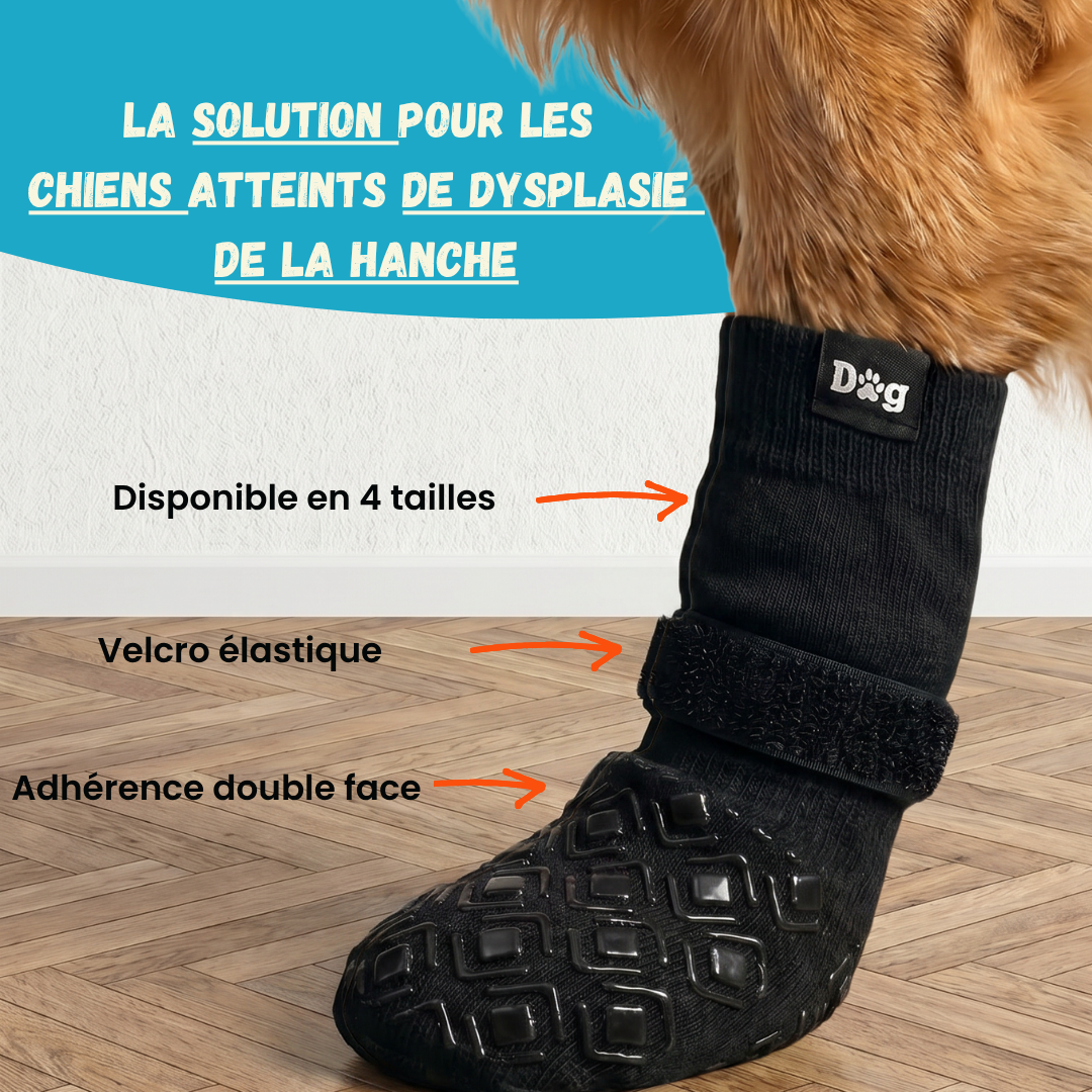 Chaussettes antidérapantes pour chien atteint de dysplasie de la hanche — adhérence double face avec velcro élastique, disponible en 4 tailles