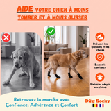 Avant-après : Labrador portant des chaussettes Dog Socky — empêche les glissades et les chutes sur sol glissant