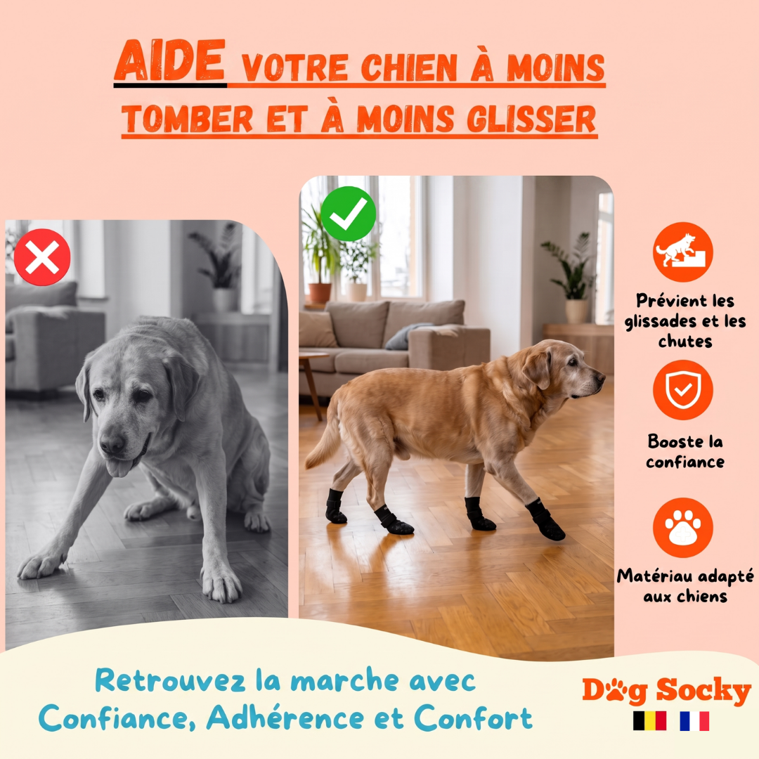 Avant-après : Labrador portant des chaussettes Dog Socky — empêche les glissades et les chutes sur sol glissant