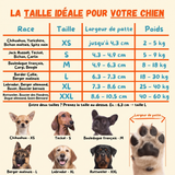 Tableau des tailles Dog Socky : tailles XS à XXL selon la largeur de patte, le poids et la race du chien