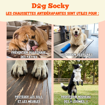 Les chaussettes antidérapantes aident contre le léchage des pattes, protègent les plaies et préservent sols et meubles des griffures