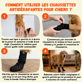 Comment mettre des chaussettes antidérapantes pour chien en 4 étapes — mesurer la largeur de patte et fixer le velcro