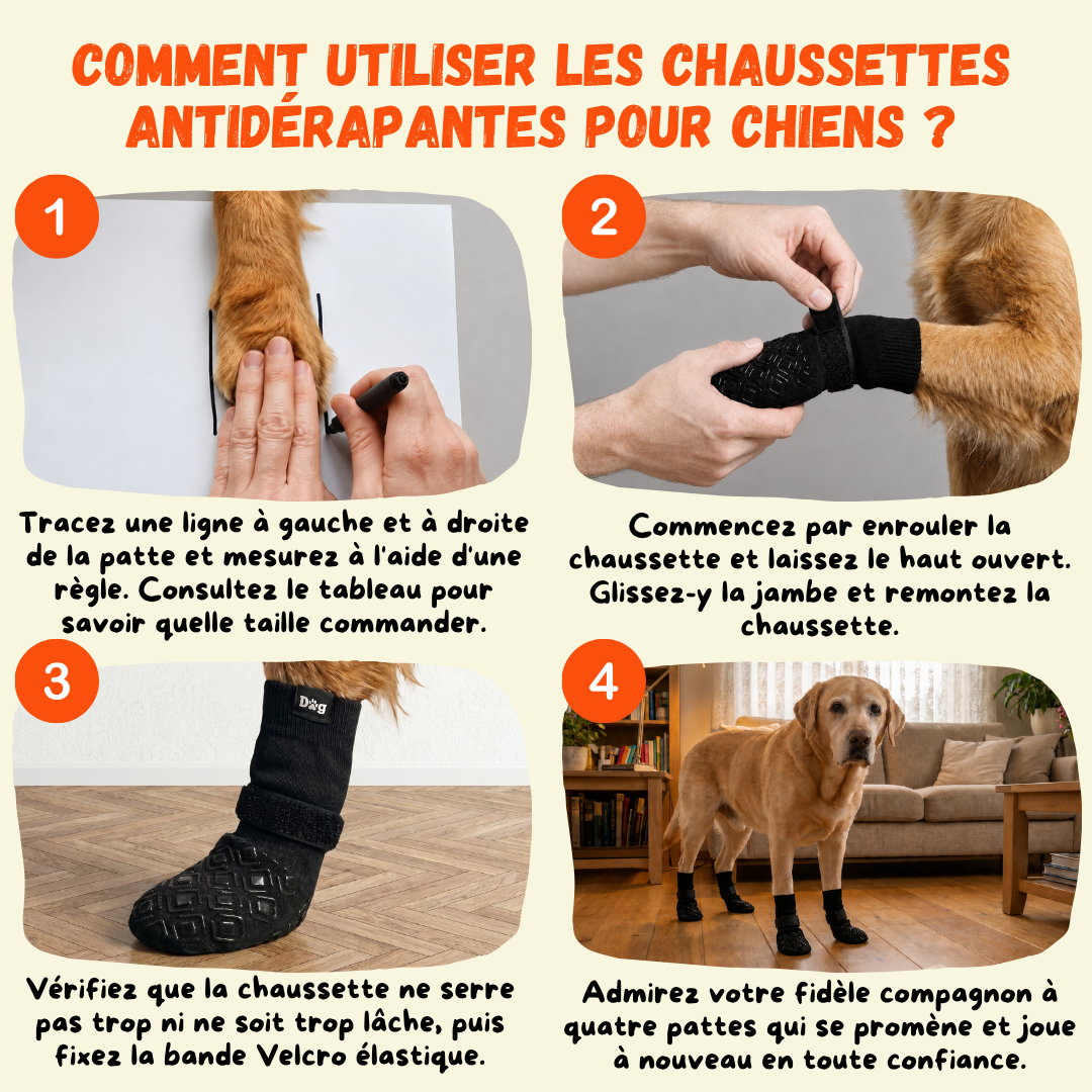 Comment mettre des chaussettes antidérapantes pour chien en 4 étapes — mesurer la largeur de patte et fixer le velcro
