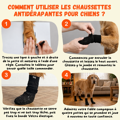 Comment mettre des chaussettes antidérapantes pour chien en 4 étapes — mesurer la largeur de patte et fixer le velcro