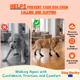 Before and after: Labrador wearing Dog Socky dog socks — prevents slipping and falling on slippery floors