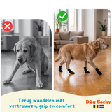 Labrador vergelijking DogSocky gripsokken — voor na antislip hondensokken Belgie Nederland