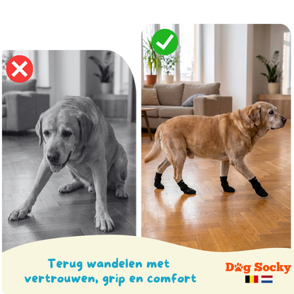 Labrador vergelijking DogSocky gripsokken — voor na antislip hondensokken Belgie Nederland