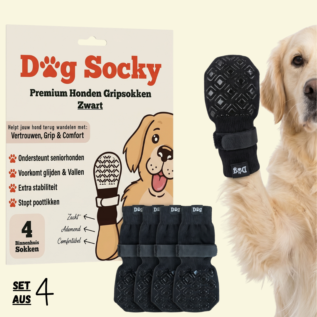Dog Socky Anti-Rutsch Hundesocken schwarz — Verpackung 4er-Set mit Golden Retriever