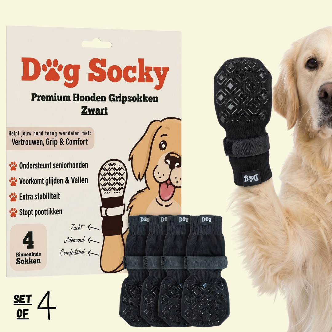 Dog Socky anti-slip dog socks black — 4-pack packaging with golden retriever