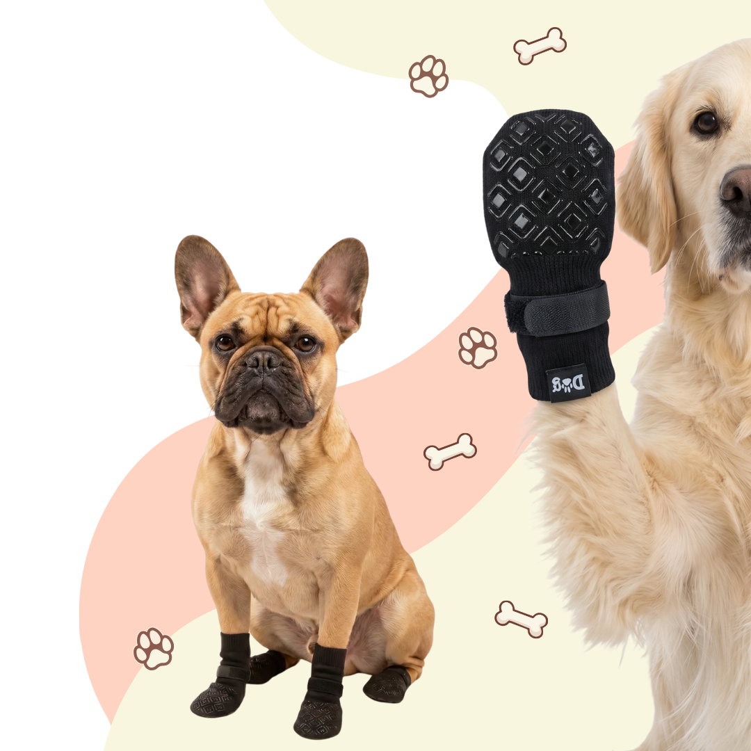 Franse Bulldog en Golden Retriever met Dog Socky gripsokken — antislip hondensokken roze achtergrond