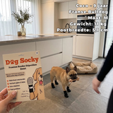 Franse Bulldog met Dog Socky antislip hondensokken in keuken — gripsokken maat M pootbescherming gladde vloer