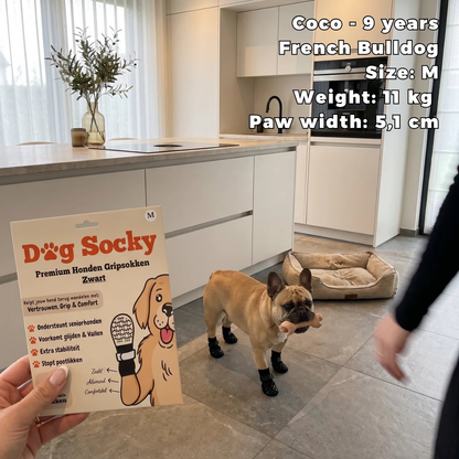 Coco, French Bulldog wearing Dog Socky dog socks size M in the kitchen