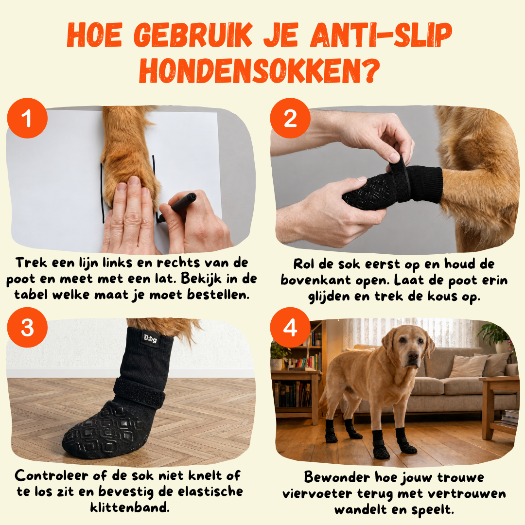 Hoe Dog Socky antislip hondensokken aantrekken — stap voor stap instructie klittenband pootbeschermer