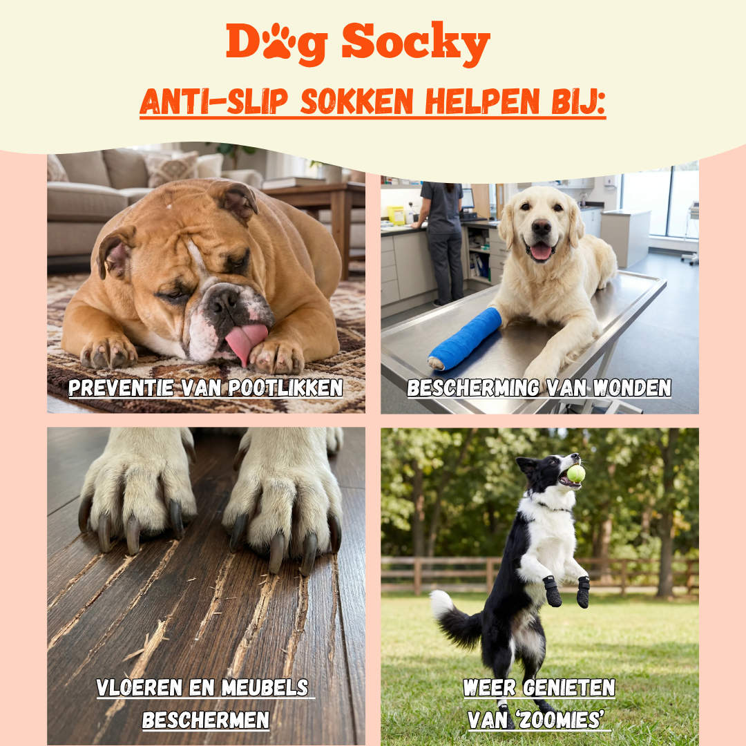 Dog Socky hondensokken gebruik — pootlikken voorkomen wondbescherming hond gladde vloer antislip sokken