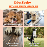 Dog Socky hondensokken gebruik — pootlikken voorkomen wondbescherming hond gladde vloer antislip sokken