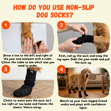 How to put on non-slip dog socks in 4 steps — measure paw width and secure the velcro strap