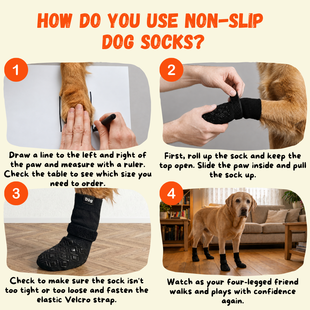 How to put on non-slip dog socks in 4 steps — measure paw width and secure the velcro strap