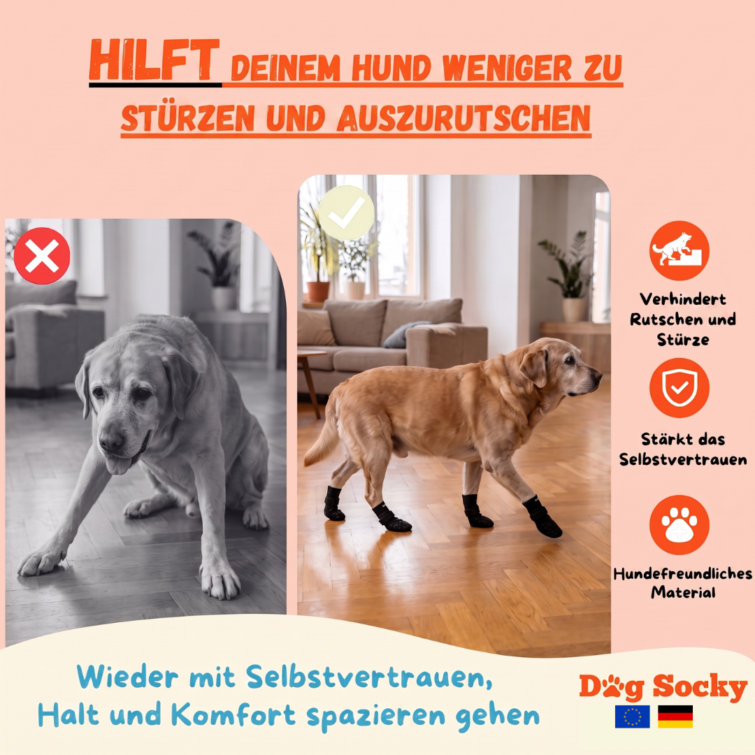Vorher-Nachher: Labrador mit Dog Socky Hundesocken — verhindert Ausrutschen und Stürze auf glattem Boden