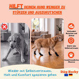 Vorher-Nachher: Labrador mit Dog Socky Hundesocken — verhindert Ausrutschen und Stürze auf glattem Boden